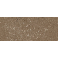 Buxy Noisette 50x100