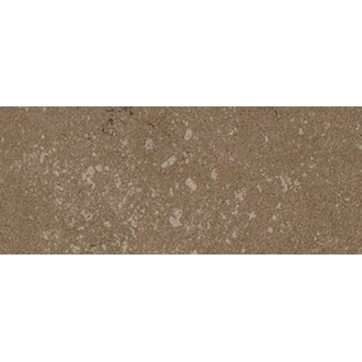 Buxy Noisette 50x100