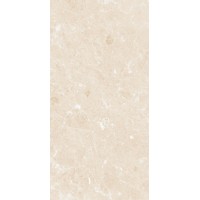 C-ACL301D Alicante светло-бежевая 29,7x60