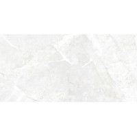 C-DAL521D Dallas светло-серый 29,7x60