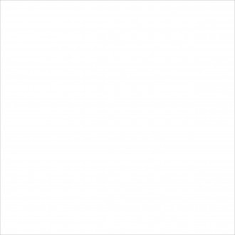 C-PW4R052 Palitra белый 42x42