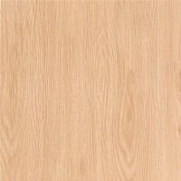 C-SJ4R012D Scandic бежевый 42х42