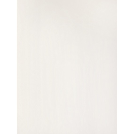 Керамическая плитка C-WHK051R White белая прозрачная 20х30