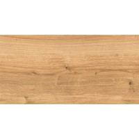 C-WS4O112D Woodhouse коричневый 29,7х59,8