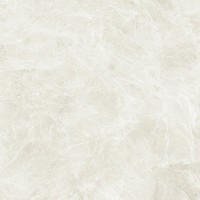 C221100721 Xlight Ars Beige Nature 120x120