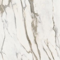 C221100821 Xlight Aura Gold Polished 120x120