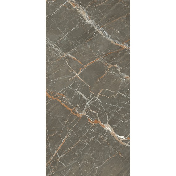 Керамогранит C221101501 Xlight Premium Ares Dark Silk 120x250