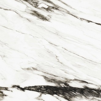 C221102431 Xlight Premium Paonazzo Biondo Silk 6mm 120x120