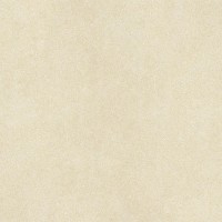 C225800031 Stuc Beige Nature 59,4x59,4