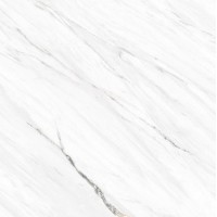 C225801041 Soul Frost Nature 59.4x59.4