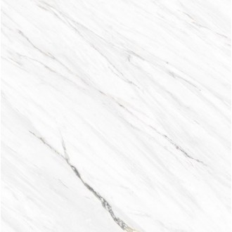 C225801041 Soul Frost Nature 59.4x59.4