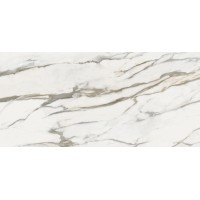 C229801891 Xlight Aura Gold Silk 120x250