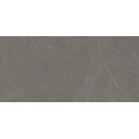 C279018521 Xlight 150x300 Liem Grey Polished (6 мм)