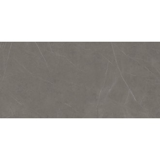 C279018521 Xlight 150x300 Liem Grey Polished (6 мм)