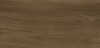 C279024531 Xlight Ewood Honey Nature 6mm 150x300