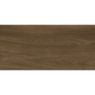 C279024531 Xlight Ewood Honey Nature 6mm 150x300