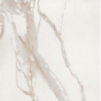 CALACATTA GOLD NAT RET 60x60