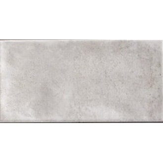 CAMDEN GREY 10x20