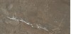 CAN5MIL2QDAA Miller Natural MT Rect 59.5x120