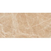 CAPUCCINO POLISHED 60x120