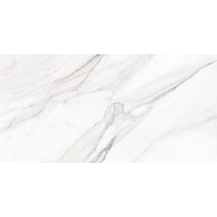 CASPIO WHITE PULIDO rect. 60x120