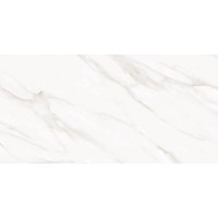 CAVOTI White Glossy 60x120