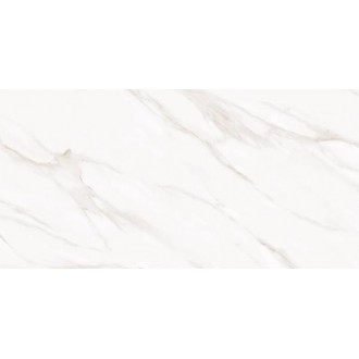 CAVOTI White Glossy 60x120