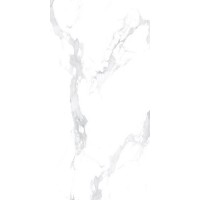 CELA STATUARIO 60x120