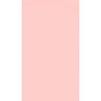 CL12 Розовая 20x33