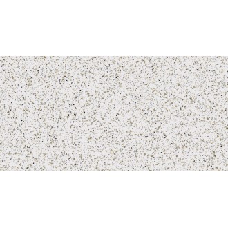 CM00 Cosmos White Неполированный Рект. 60x120x9