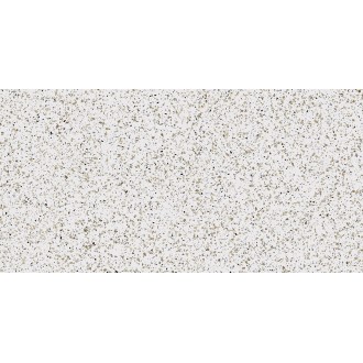 CM00 White 60x120