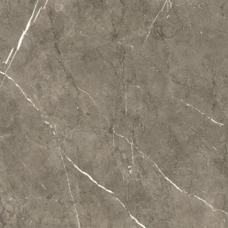 COLUMBIA Gris Mate 60x60