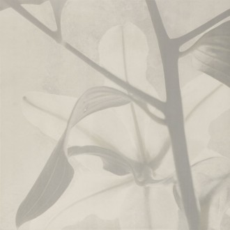 CONCRETE 1D 59,8x59,8