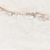 CR.PISA GOLD leviglass Rect. 60*60