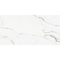 CR.Torano Dorado Mat R10 60x120