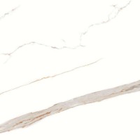 CR112 Керамогранит Signorina Gold carving 60x60