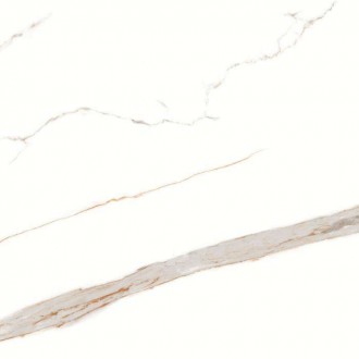 CR112 Керамогранит Signorina Gold carving 60x60