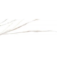 CR15A Плитка Signorina Gold A carving 30x90