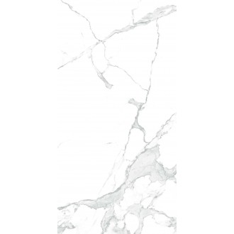 CR4003-A Paradise Statuario Carving 60x120