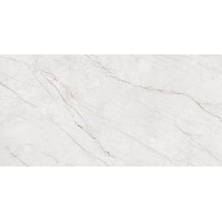 CR4014-A Керамогранит Meteria Silver Carving 60x120