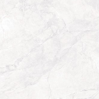 CR6008-A Arctic White Carving 60x60