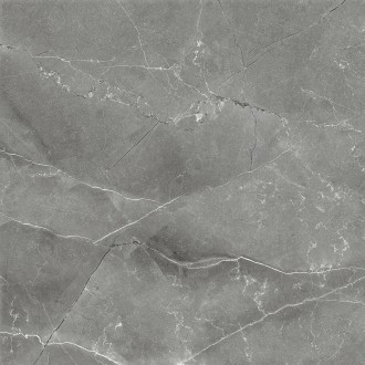 CR6011-A Pulpis Nero Carving 60x60