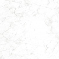 CR6NTT9901M Carrara Bianco 60x60