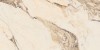 CV20184 Calacatta Gold Glossy 60x120