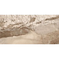 CV20189 Monaco Brown Glossy 60x120