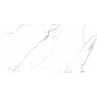 CV20222 Керамогранит Mckinley Glossy 60x120