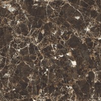 CV20252 Керамогранит Emperador Nuovo Glossy 60x60