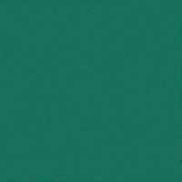 C TL 09 CAPITONNE TASSELLO LISCIO VERDE 2X2