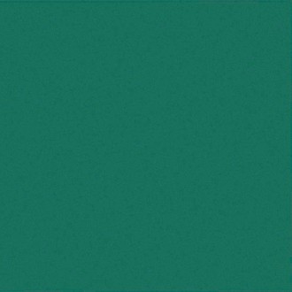 C TL 09 CAPITONNE TASSELLO LISCIO VERDE 2X2