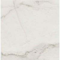 Calacatta Art Silver Lux 60x60